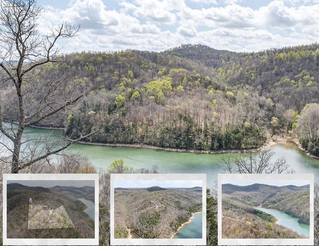 Allons, TN Lake View Homesite