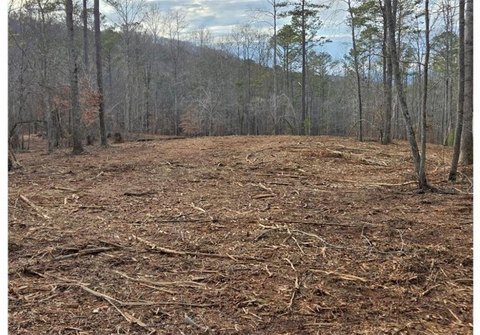 Land, Canton, GA