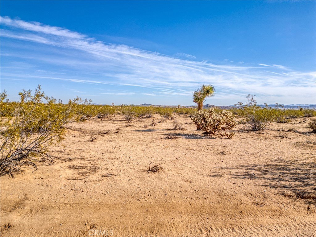 Picture 28