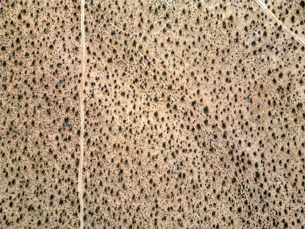 Picture 40