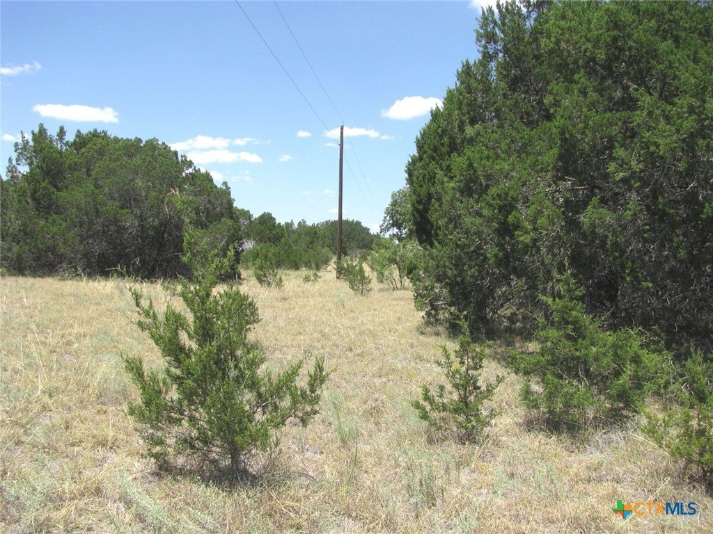 Texas Land in Gated Community