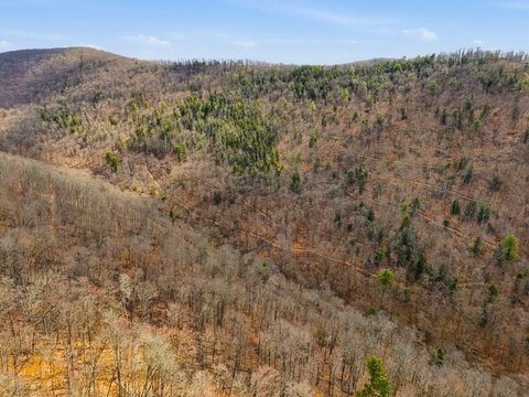 251 Acres Bordering Elk Forest