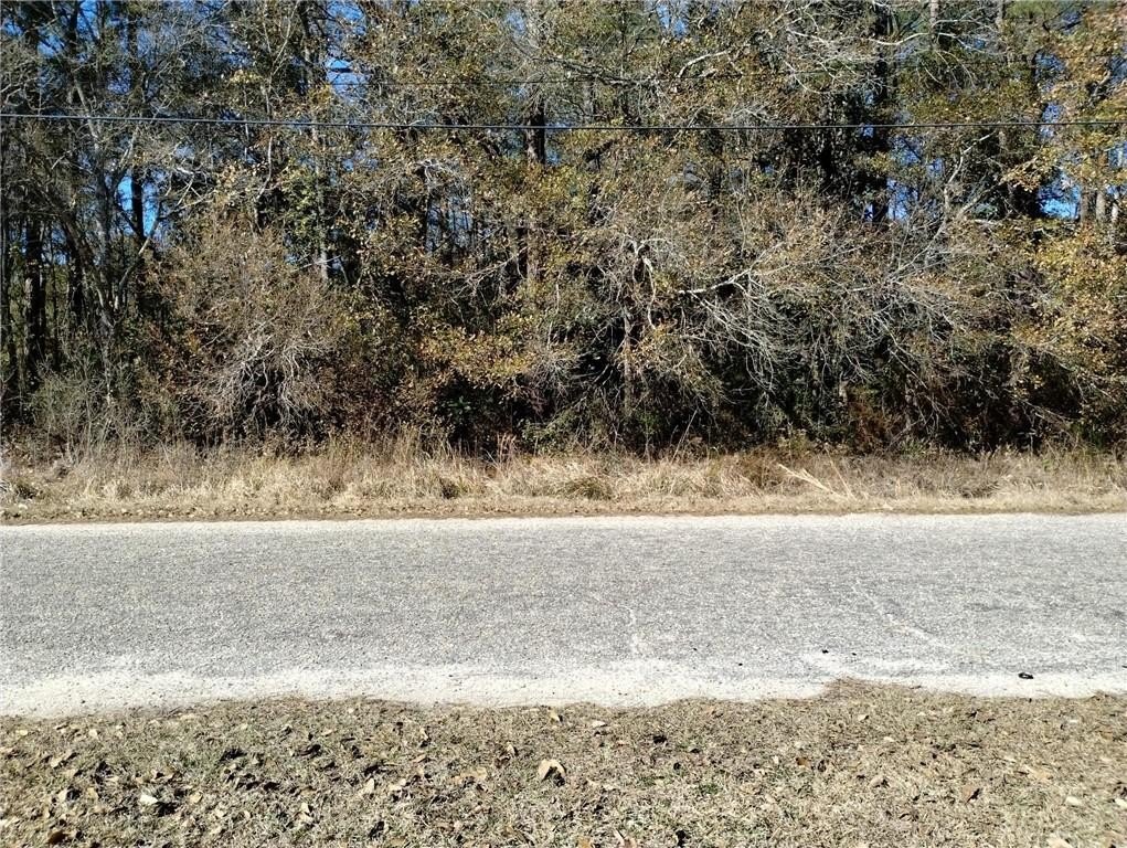 Picture 3