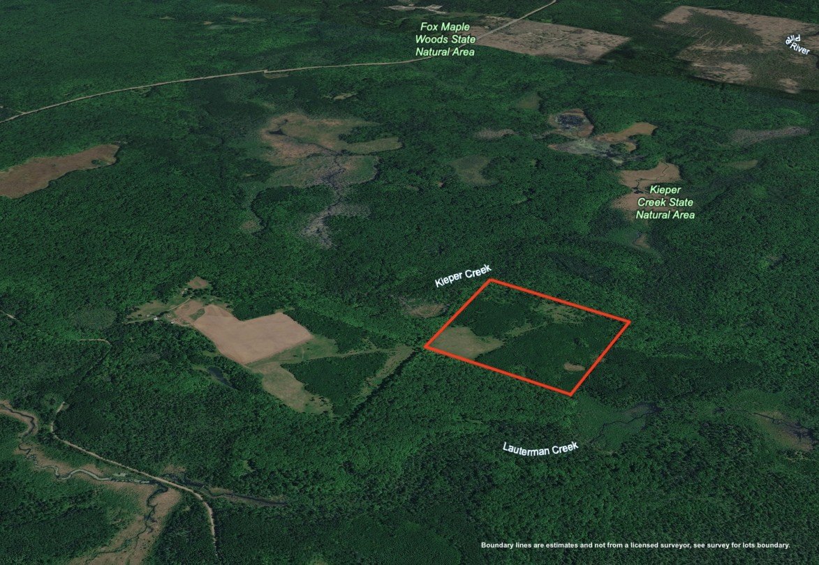 40 Acres in National Forest