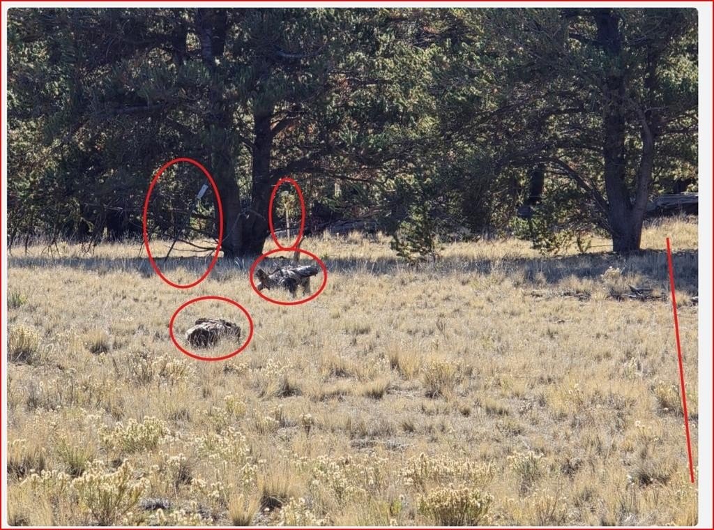Picture 26