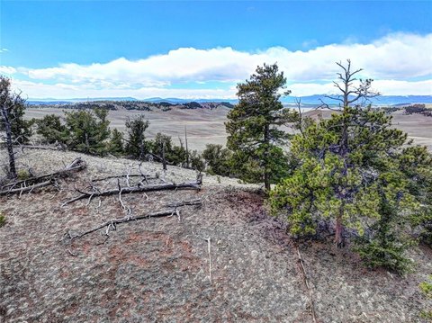 Hartsel Land with Ranch Views