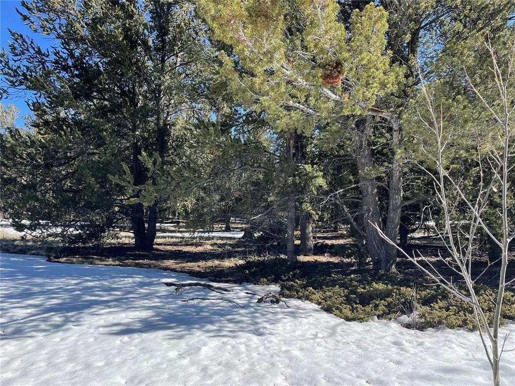 Picture 21