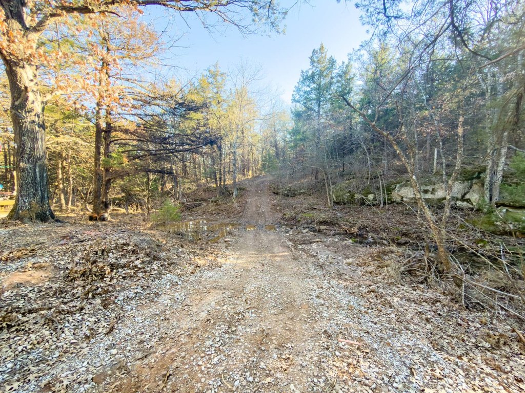 Picture 32