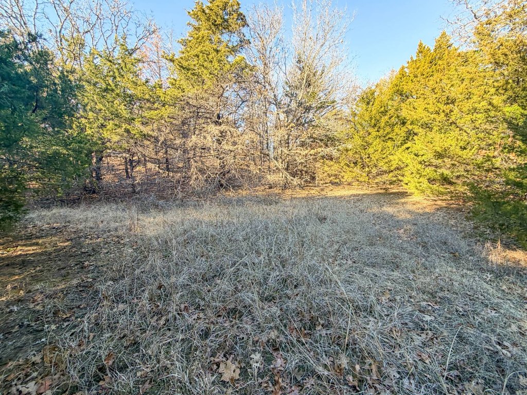 Picture 49