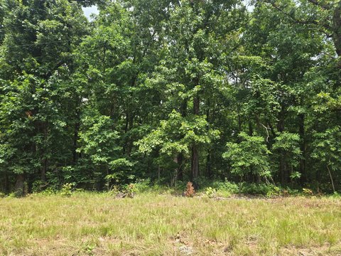 Wooded Hunting Tract