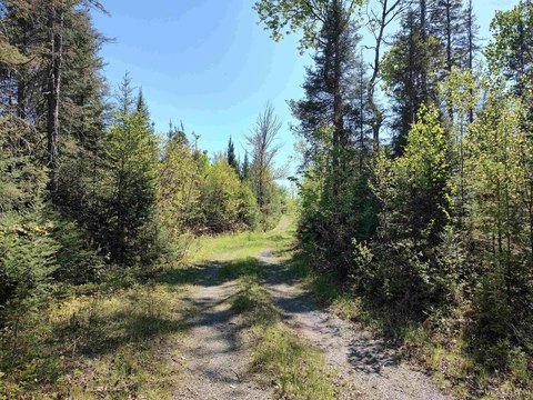 74 Acres on US Hwy 41