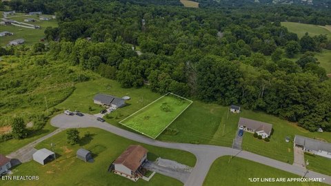 Residential Land in New Tazewell