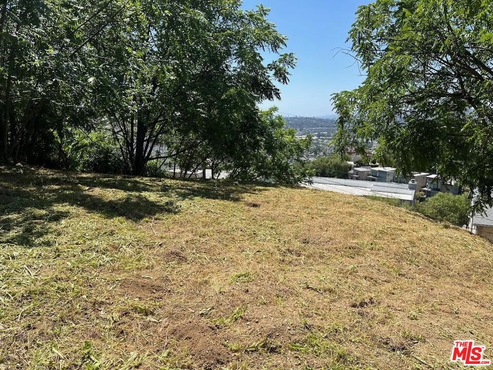 Picture 8