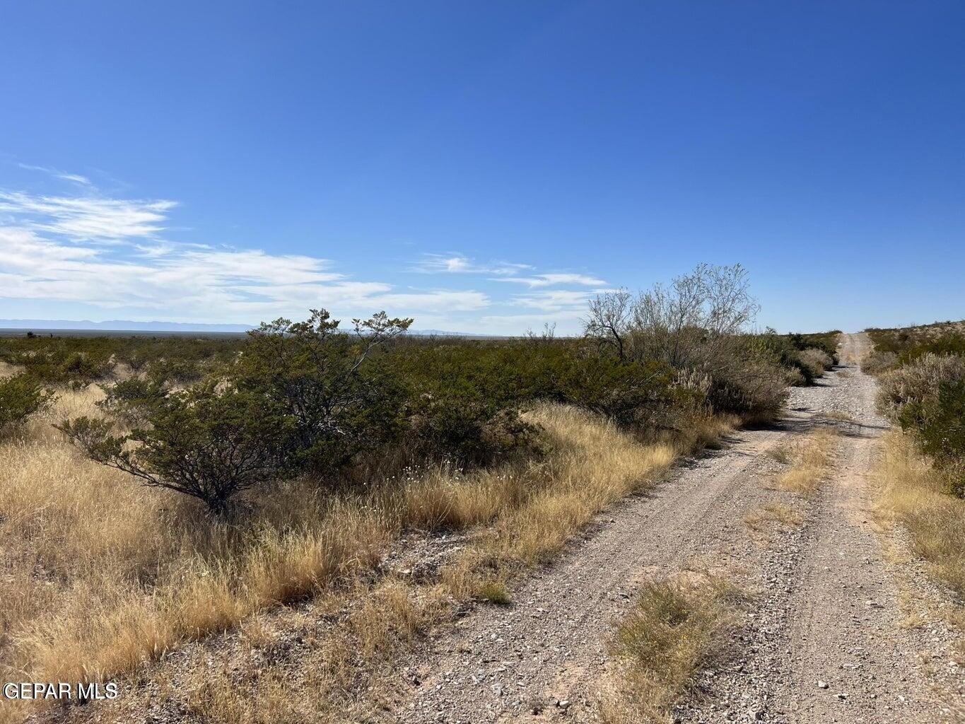 20 Acres of Texas Land