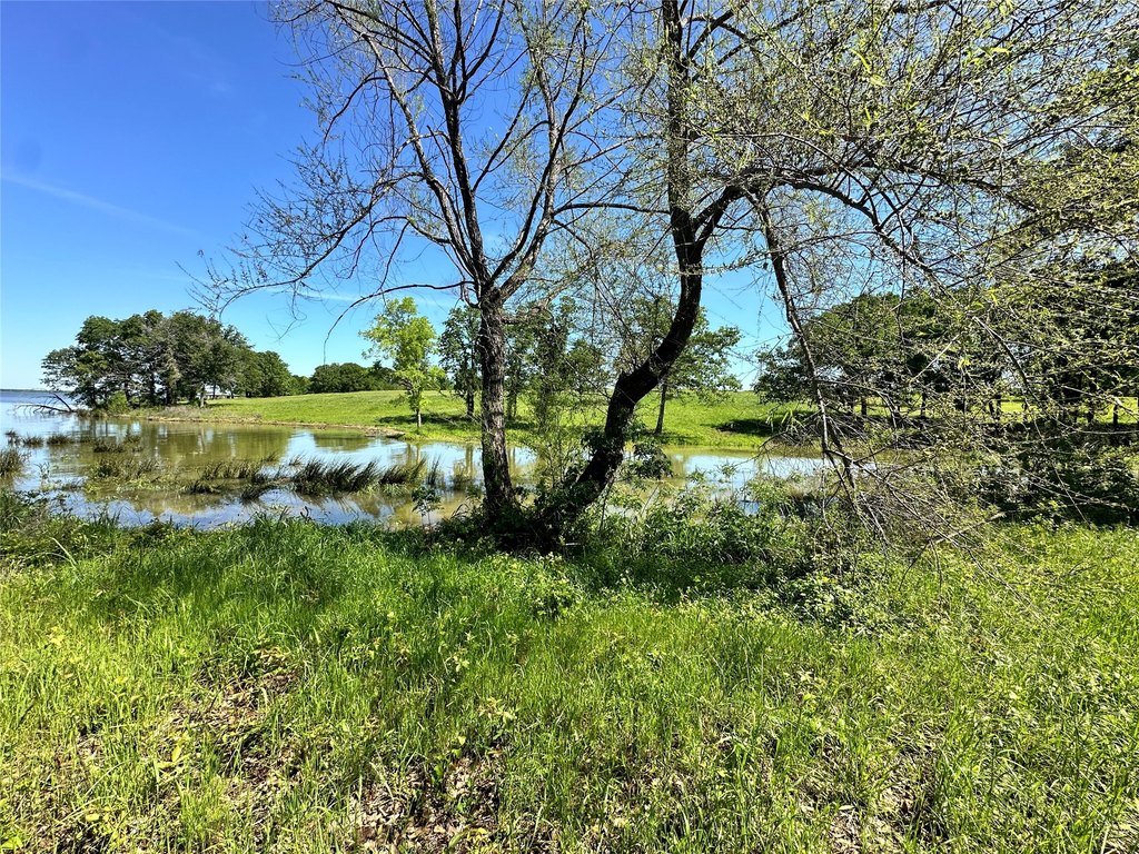 Picture 21
