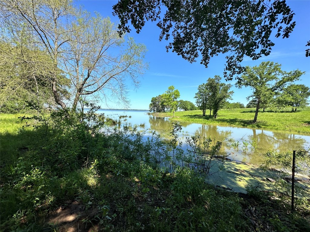 Picture 20
