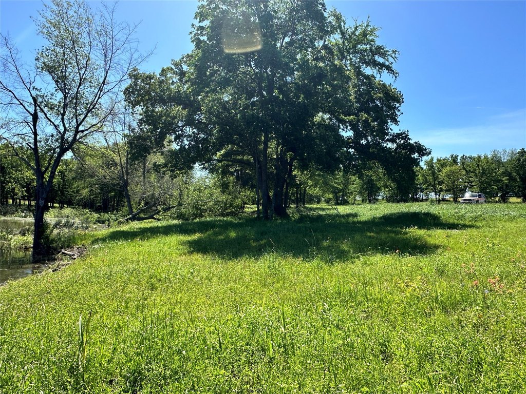 Picture 25