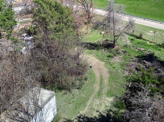 Picture 6