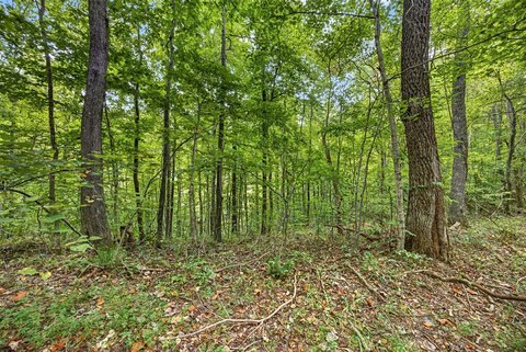 Land, Celina, TN