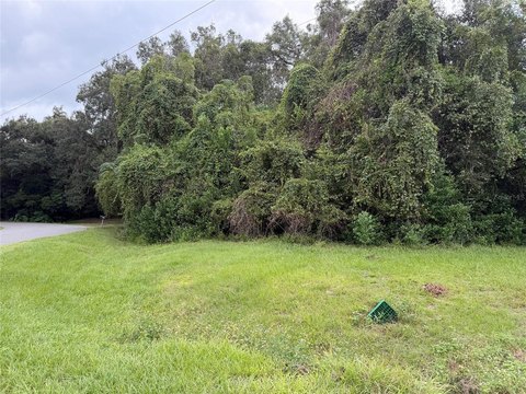 Land, GAINESVILLE, FL