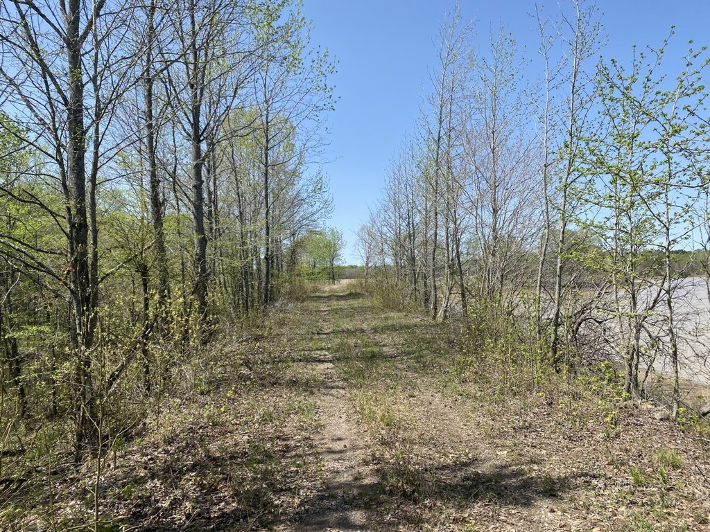 Picture 34