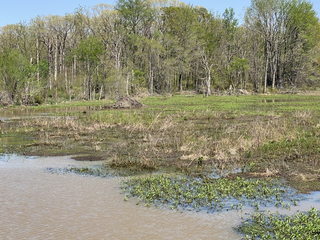 Picture 26