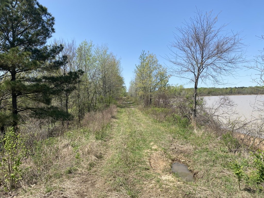 Picture 27