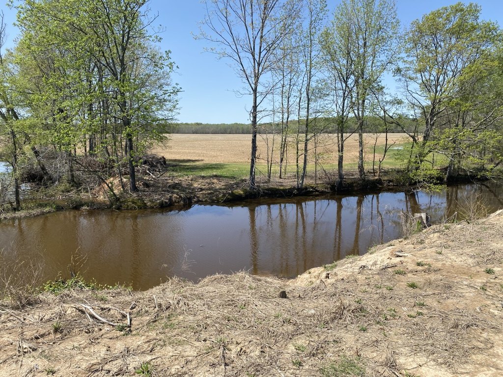 Picture 37