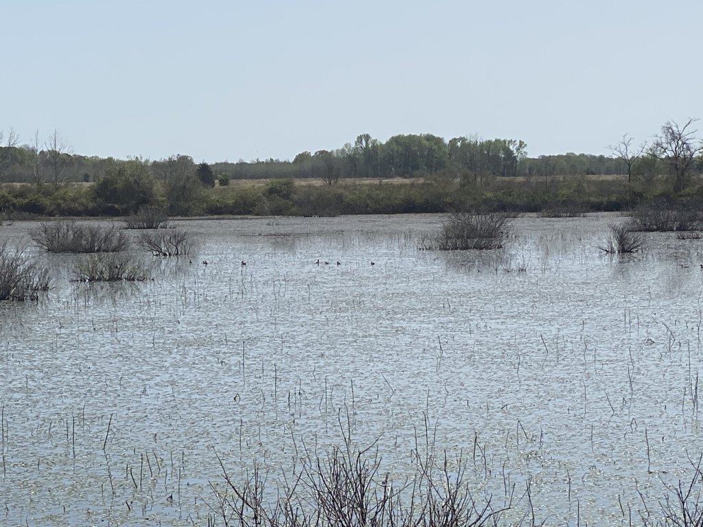 Picture 42
