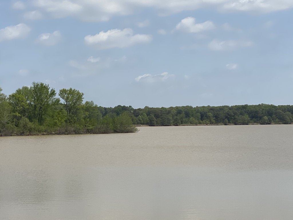 Picture 45
