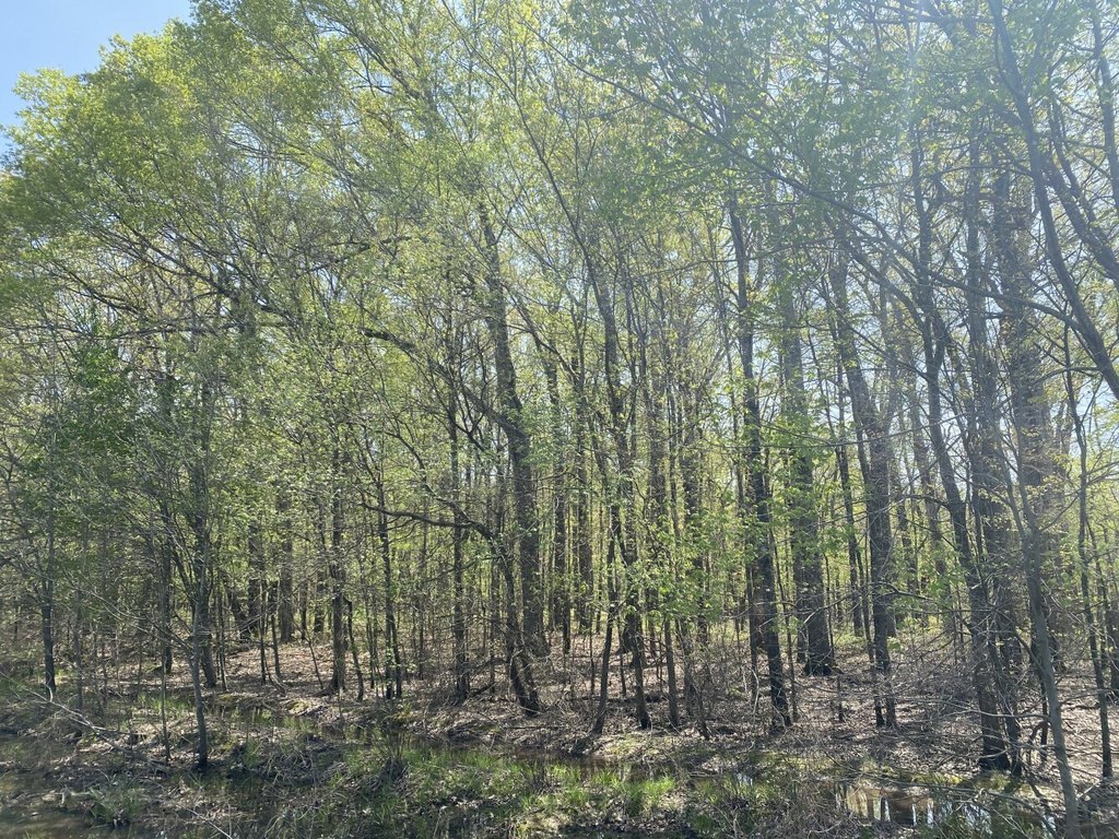 Picture 28