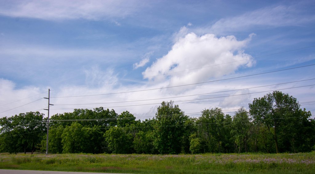 Picture 3