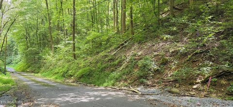Lots & Acreage, Sevierville, TN
