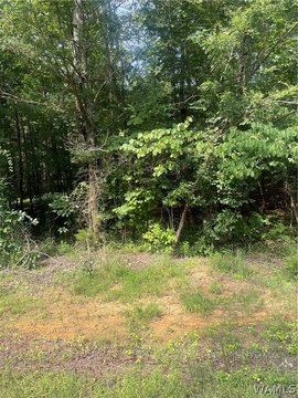 LAND - Tuscaloosa, AL