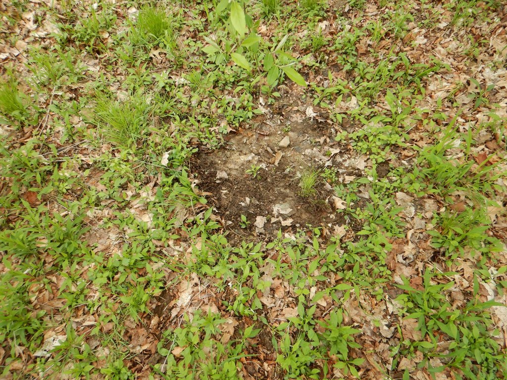 Picture 34