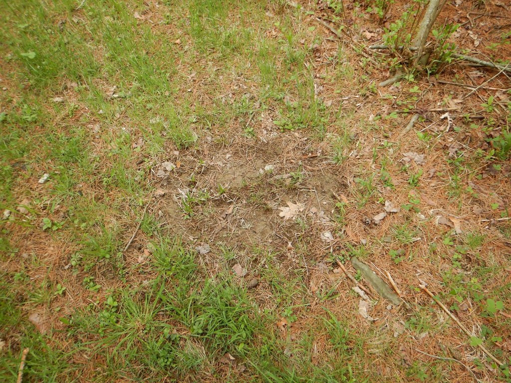 Picture 25