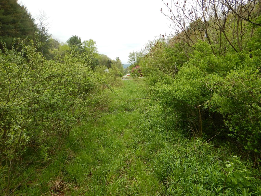 Picture 16