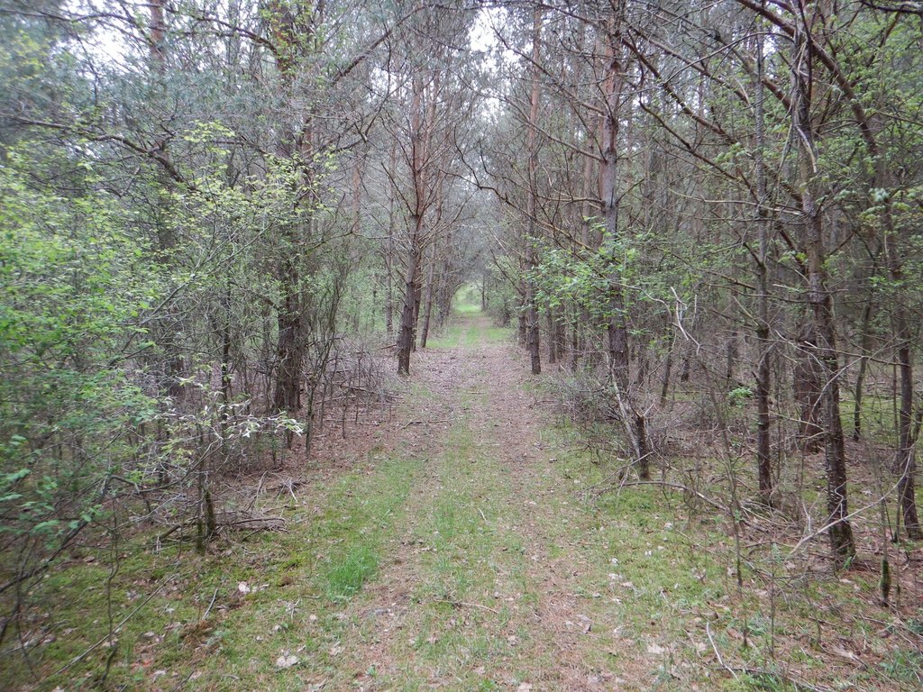 Picture 19