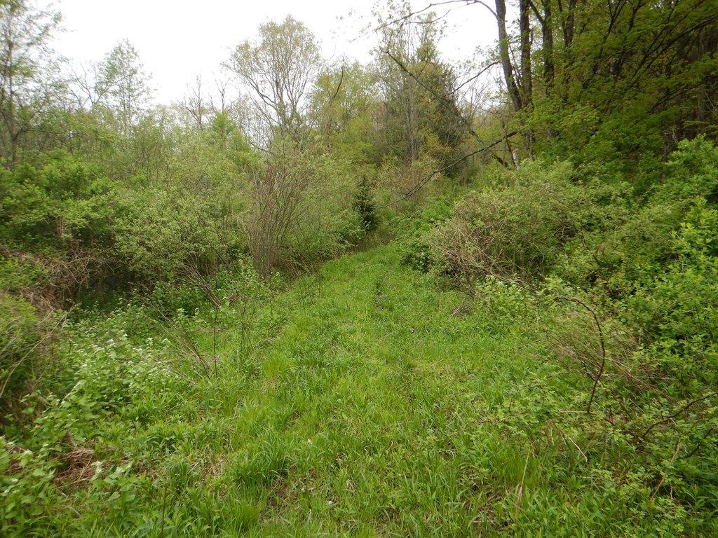 Picture 14