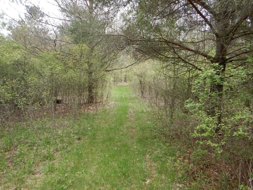 Picture 27