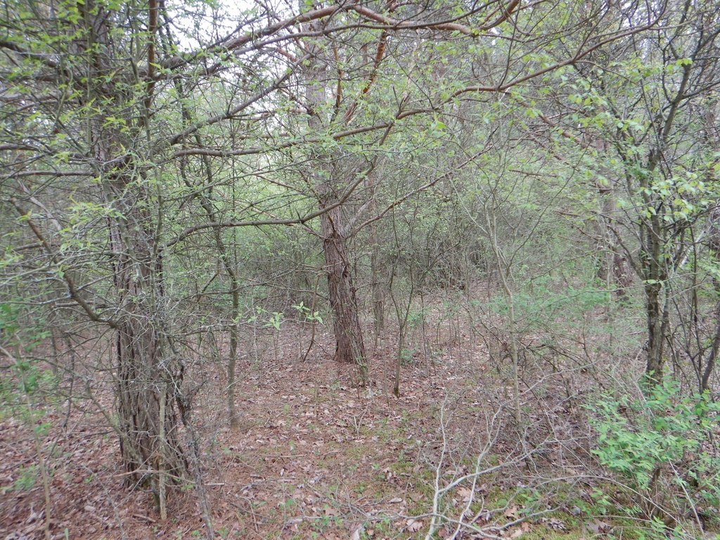 Picture 28