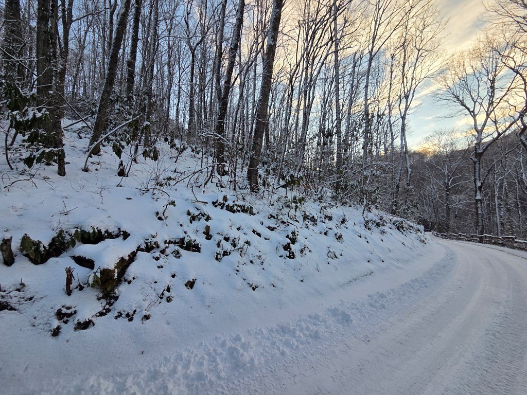 Picture 25