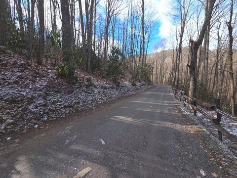 Forested Land Near Blue Ridge