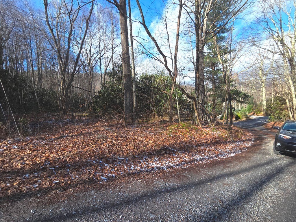 Picture 16