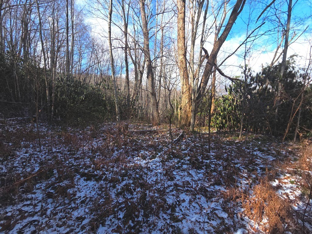 Picture 12