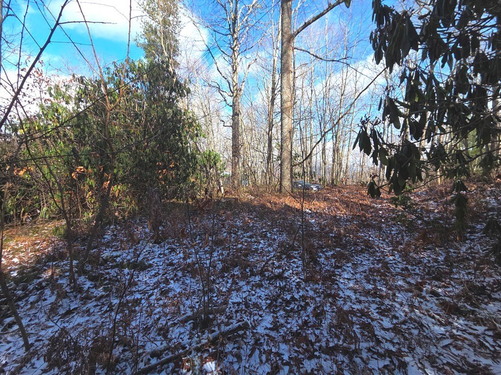 Picture 15