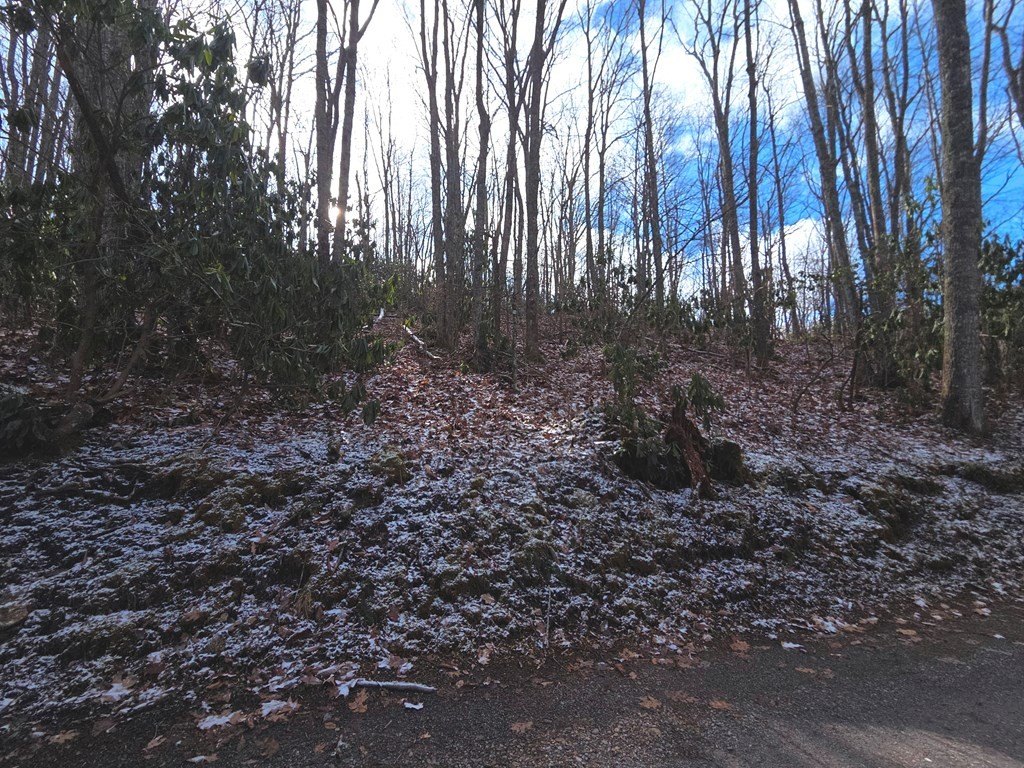 Picture 22