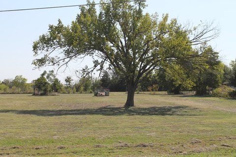 Land For Sale in Celeste