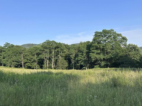 Slaty Fork Land with Views
