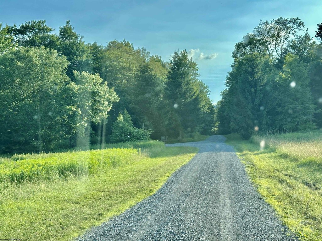 Picture 22